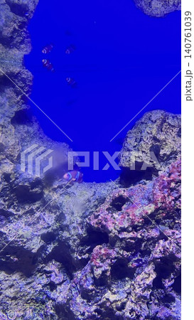 花蓮 海 大洋 140761039