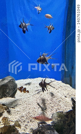 花蓮 海 大洋 140761049