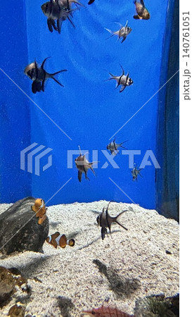 花蓮 海 大洋 140761051