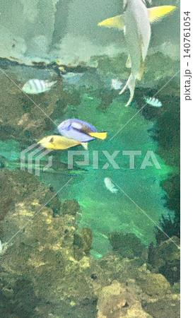 花蓮 海 大洋 140761054