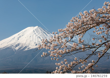 桜越しに望む春の富士山 桜越しに望む春の富士山 140761259
