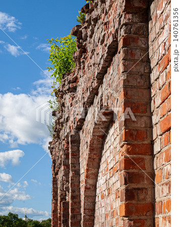 Wild weed vegetation on a ruined red brick wall with a distant church dome Wild weed vegetation on a ruined red brick wall with a distant church dome 140761356