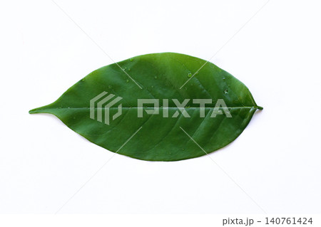 Bright Green Leaf Isolated on Clean White Background for Nature Concepts Bright Green Leaf Isolated on Clean White Background for Nature Concepts 140761424