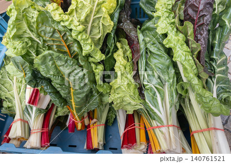 Freshly harvested Swiss chard bundles with vibrant green and red stems in blue crate Freshly harvested Swiss chard bundles with vibrant green and red stems in blue crate 140761521