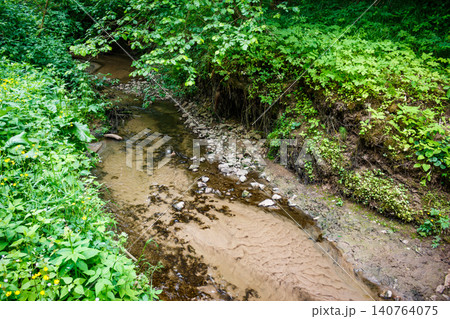 A babbling forest brook snakes through vibrant green summer growth. Crystal clear water reveals pebbles and sandy ripples, a serene wild nature shot A babbling forest brook snakes through vibrant green summer growth. Crystal clear water reveals pebbles and sandy ripples, a serene wild nature shot 140764075