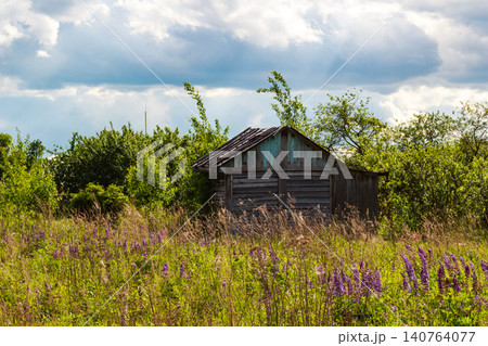 Weathered wooden shack peeks from a vibrant summer field, nestled among tall grass and purple wildflowers under a dramatic sky Weathered wooden shack peeks from a vibrant summer field, nestled among tall grass and purple wildflowers under a dramatic sky 140764077