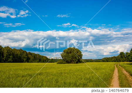 Expansive green meadow under a bright blue sky with fluffy clouds. A solitary tree stands grandly, while a winding dirt path beckons. Distant urban skyline peeks through the trees Expansive green meadow under a bright blue sky with fluffy clouds. A solitary tree stands grandly, while a winding dirt path beckons. Distant urban skyline peeks through the trees 140764079
