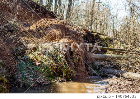 Massive soil slide on a sandy ravine slope in springtime, exposing tree roots and fallen logs. A small stream flows at the bottom of the ravaged landscape 140764335