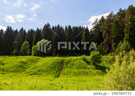 Vibrant green meadow leading to a dense spruce forest under a clear blue sky, capturing the serene beauty of a sunny summer day in the peaceful countryside landscape Vibrant green meadow leading to a dense spruce forest under a clear blue sky, capturing the serene beauty of a sunny summer day in the peaceful countryside landscape 140764733