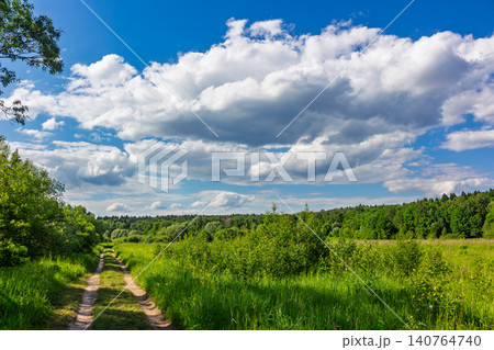 Dirt path winding through a lush green summer field under a massive bright sky with fluffy white clouds, vibrant nature scenery capturing a peaceful countryside walk on a sunny day Dirt path winding through a lush green summer field under a massive bright sky with fluffy white clouds, vibrant nature scenery capturing a peaceful countryside walk on a sunny day 140764740