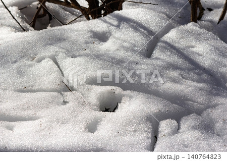 Glistening melting snow, scattered with dark bare twigs, signals early spring's gentle thaw in March. A crystalline natural transition 140764823