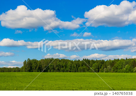 Vibrant spring landscape featuring a lush green field under a brilliant blue sky with fluffy white clouds, capturing the serene beauty of a peaceful meadow on a sunny May day Vibrant spring landscape featuring a lush green field under a brilliant blue sky with fluffy white clouds, capturing the serene beauty of a peaceful meadow on a sunny May day 140765038
