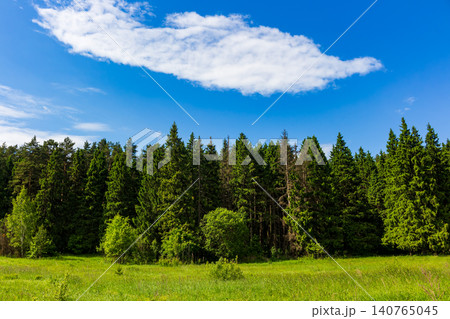 Lush green coniferous forest edge bordering a sunlit meadow under a bright blue sky with a single fluffy white cloud on a beautiful warm summer day in the countryside Lush green coniferous forest edge bordering a sunlit meadow under a bright blue sky with a single fluffy white cloud on a beautiful warm summer day in the countryside 140765045