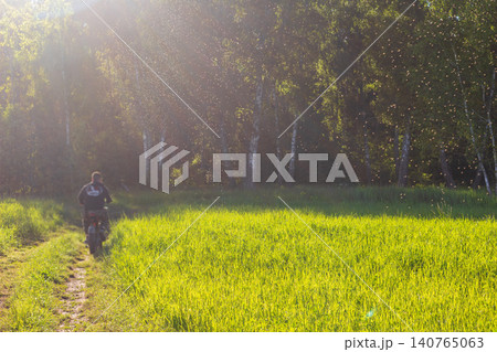 Cyclist rides a bike along a countryside trail during sunset as a swarm of mosquitoes dances in the warm golden hour light against a lush green forest backdrop Cyclist rides a bike along a countryside trail during sunset as a swarm of mosquitoes dances in the warm golden hour light against a lush green forest backdrop 140765063