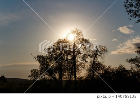 Sunburst hides behind a bold tree silhouette, creating a stunning dramatic nature sky backdrop at twilight 140765138