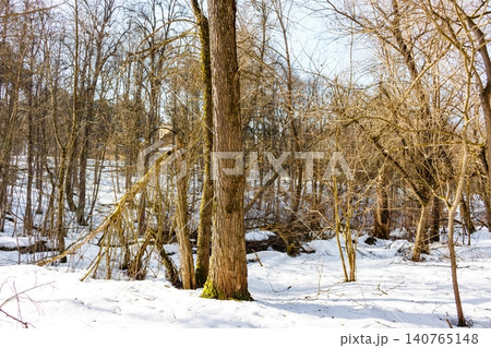 Winter's grip loosens on a sunlit forest ravine as melting snow uncovers the ground. Bare trees signal nature's slow awakening this early spring Winter's grip loosens on a sunlit forest ravine as melting snow uncovers the ground. Bare trees signal nature's slow awakening this early spring 140765148