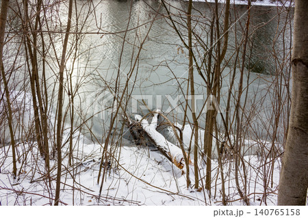 Beaver-gnawed log lies on a snowy riverbank, framed by bare trees. Winter's quiet influence on the partially frozen river, a raw wildlife spectacle 140765158