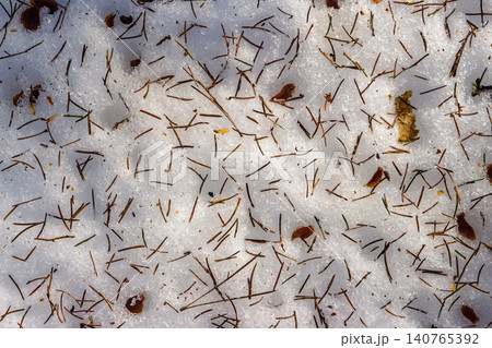 Melting snow surface sprinkled with dark brown fallen pine needles and tiny forest debris, capturing the essence of early spring thaw in a woodland setting Melting snow surface sprinkled with dark brown fallen pine needles and tiny forest debris, capturing the essence of early spring thaw in a woodland setting 140765392