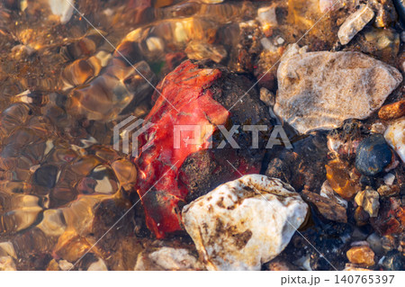 Vibrant red flint shard nestled in clear river water, surrounded by smooth pebbles Vibrant red flint shard nestled in clear river water, surrounded by smooth pebbles 140765397