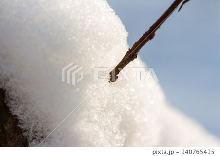 Shimmering fresh snow blankets a hardy bare branch, set against a vibrant blue winter backdrop. Nature's serene, frozen beauty Shimmering fresh snow blankets a hardy bare branch, set against a vibrant blue winter backdrop. Nature's serene, frozen beauty 140765415