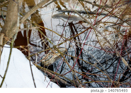 Murky stream polluted by illegal discharge of dark liquid, a lonely boot floats among bare winter branches. Environmental hazard and water contamination Murky stream polluted by illegal discharge of dark liquid, a lonely boot floats among bare winter branches. Environmental hazard and water contamination 140765493