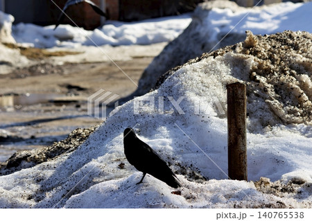 Silhouette of a lone black crow standing on a pile of dirty melting snow near a rusty pole during early spring, captured in a clear bright day light Silhouette of a lone black crow standing on a pile of dirty melting snow near a rusty pole during early spring, captured in a clear bright day light 140765538