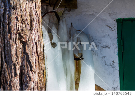 Melting ice formation clinging to a rustic wall beside a textured pine tree trunk, capturing the transition from freezing winter to the arrival of early spring sunlight 140765543