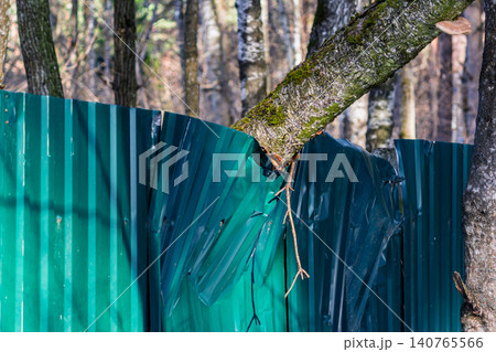 Fallen tree trunk resting on a dented green corrugated metal fence in the forest, showcasing a powerful intersection between wild nature and man-made structure in a rural outdoor setting Fallen tree trunk resting on a dented green corrugated metal fence in the forest, showcasing a powerful intersection between wild nature and man-made structure in a rural outdoor setting 140765566
