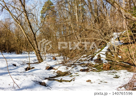 Melting snow unveils a sunlit forest gully, signaling early spring's gentle arrival. Bare trees stand tall in this tranquil, awakening nature scene Melting snow unveils a sunlit forest gully, signaling early spring's gentle arrival. Bare trees stand tall in this tranquil, awakening nature scene 140765596