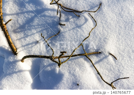 Twisted winter branches lie atop pristine, glistening snow, bathed in bright sunshine. Captivating patterns of nature and light Twisted winter branches lie atop pristine, glistening snow, bathed in bright sunshine. Captivating patterns of nature and light 140765677