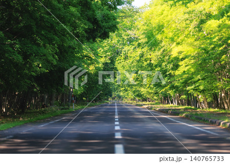緑が美しい直線道路 140765733