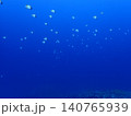 沖縄の海　伊江島 140765939