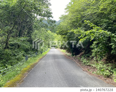 新緑に包まれた森へ続く一本道の風景 新緑に包まれた森へ続く一本道の風景 140767228