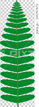 Fern leaf Fern leaf 140767672