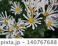 黄色い花 140767688
