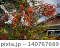 黄色い花 140767689