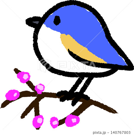 可愛い手書きのルリビタキイラスト 可愛い手書きのルリビタキイラスト 140767803