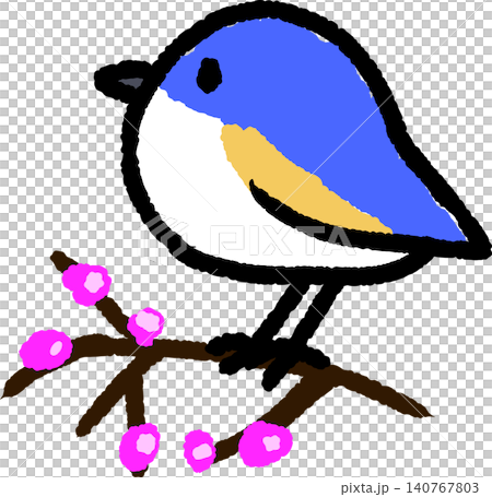 可愛い手書きのルリビタキイラスト 可愛い手書きのルリビタキイラスト 140767803