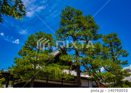 蘆山寺 元三大師良源の鬼退治ご利益:疫病除け,魔除け 蘆山寺 元三大師良源の鬼退治ご利益:疫病除け,魔除け 140768058
