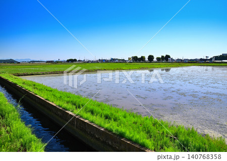青空と田圃　田園風景　道の駅　にしかた付近 140768358