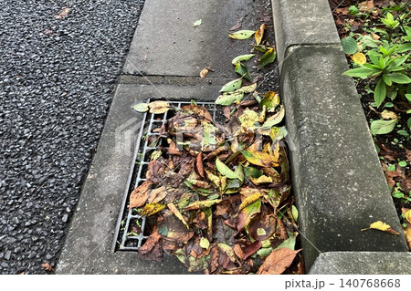 落ち葉の詰まった排水桝 冠水対策 落ち葉の詰まった排水桝 冠水対策 140768668