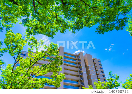 新緑のケヤキの街路樹とマンション 140768732