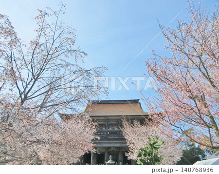 吉野 金峯山寺蔵王堂の満開の桜 吉野 金峯山寺蔵王堂の満開の桜 140768936