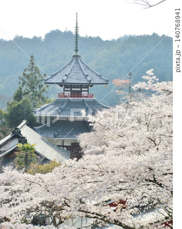 吉野 金峯山寺 南朝妙法殿と満開の桜 吉野 金峯山寺 南朝妙法殿と満開の桜 140768941