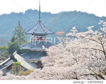 吉野　金峯山寺　南朝妙法殿と満開の桜 140768942