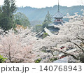 吉野　金峯山寺　南朝妙法殿と満開の桜 140768943