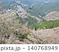 吉野　花矢倉展望台からの満開の桜と金峯山寺蔵王堂 140768949