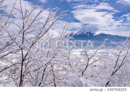 新倉山浅間公園から望む富士山と忠霊塔の雪景色 新倉山浅間公園から望む富士山と忠霊塔の雪景色 140769203