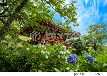 紫陽花と山門が見える風景 140769286