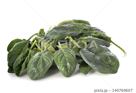 raw spinach raw spinach 140769607
